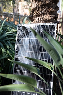 A solar panel is positioned against a tree in a natural setting, surrounded by large green leaves and foliage. The sunlight creates shadows and highlights on the panel's surface.