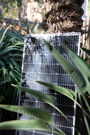 A solar panel is positioned against a tree in a natural setting, surrounded by large green leaves and foliage. The sunlight creates shadows and highlights on the panel's surface.