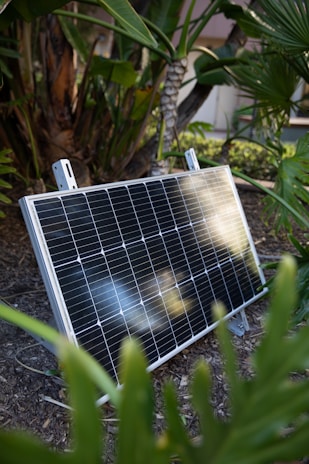 A solar panel is placed on the ground amidst lush green plants and trees. The sunlight gently reflects off its surface, highlighting the clean, angular lines of the solar cells.