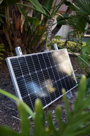 A solar panel is placed on the ground amidst lush green plants and trees. The sunlight gently reflects off its surface, highlighting the clean, angular lines of the solar cells.