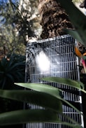 A solar panel is positioned outdoors with sunlight reflecting on its surface. The panel is surrounded by lush green foliage, including large leaves and a tree trunk nearby. The background includes more greenery, creating a natural setting.