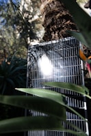 A close-up of solar panels reflecting sunlight in a green landscape.