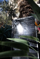 A solar panel is positioned outdoors with sunlight reflecting on its surface. The panel is surrounded by lush green foliage, including large leaves and a tree trunk nearby. The background includes more greenery, creating a natural setting.