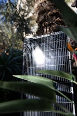 A solar panel is positioned outdoors with sunlight reflecting on its surface. The panel is surrounded by lush green foliage, including large leaves and a tree trunk nearby. The background includes more greenery, creating a natural setting.