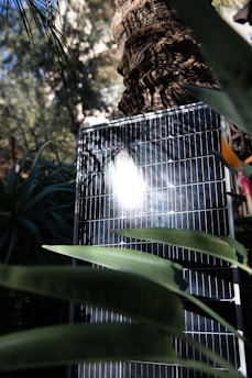 A solar panel is positioned outdoors with sunlight reflecting on its surface. The panel is surrounded by lush green foliage, including large leaves and a tree trunk nearby. The background includes more greenery, creating a natural setting.