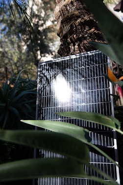 A solar panel is positioned outdoors with sunlight reflecting on its surface. The panel is surrounded by lush green foliage, including large leaves and a tree trunk nearby. The background includes more greenery, creating a natural setting.