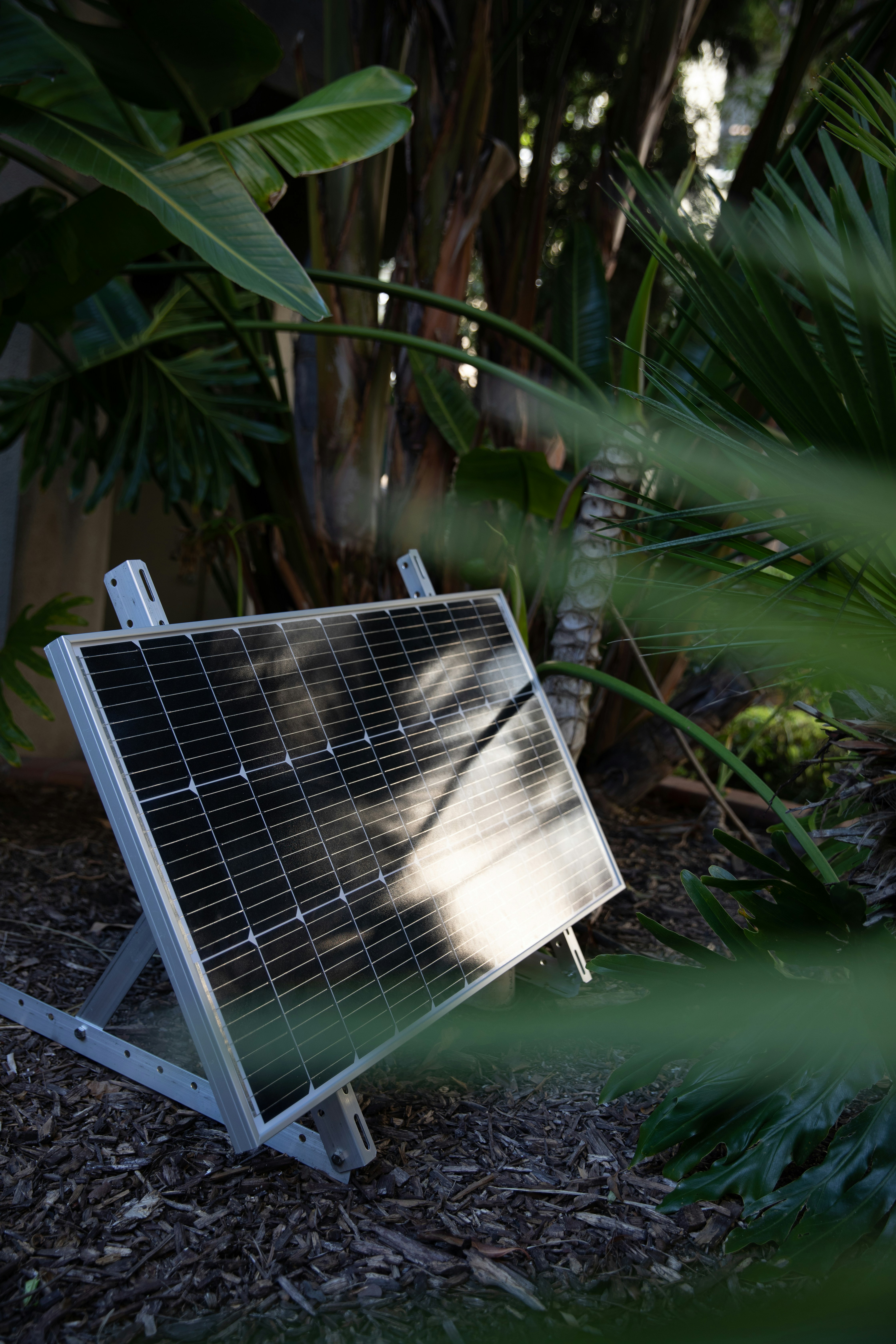 Luminous Solar Panels Collection