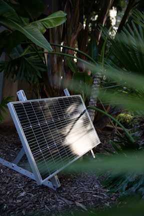 A solar panel is positioned on a wooden or mulch-covered ground within a lush garden setting. Surrounding the panel are various tropical plants with large, green leaves. The sunlight reflects on the solar panel, highlighting its grid pattern against the backdrop of dense foliage.