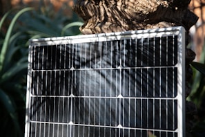 A solar panel is positioned in front of a tree with light and shadow patterns created by surrounding foliage. The background features blurred green leaves adding a natural setting.