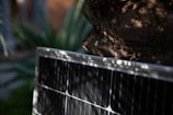 Close-up of a solar battery charger with sunlight.