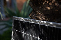 Close-up of solar panels gleaming in the sunlight with a backdrop of green trees.