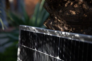 Close-up of solar cells capturing sunlight with a backdrop of green trees.