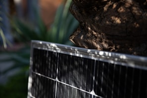 Close-up of solar panels capturing sunlight with a backdrop of green trees
