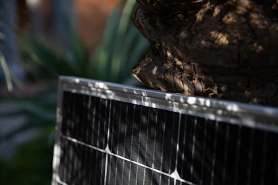 Close-up of solar panels gleaming in the sunlight with a backdrop of green trees.