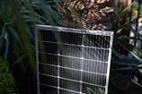 A solar panel is positioned upright amidst lush greenery, with sunlight casting intricate shadows on its surface. The surroundings include large leaves and a textured tree trunk, enhancing the natural setting.