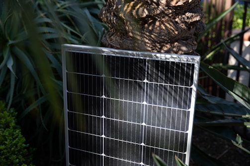 A solar panel is positioned upright amidst lush greenery, with sunlight casting intricate shadows on its surface. The surroundings include large leaves and a textured tree trunk, enhancing the natural setting.