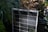 A close-up of a solar panel installation surrounded by healthy vegetation.