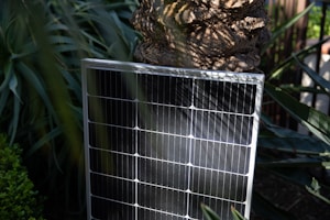 A solar panel is positioned upright amidst lush greenery, with sunlight casting intricate shadows on its surface. The surroundings include large leaves and a textured tree trunk, enhancing the natural setting.