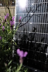 A close-up of a solar panel partially covered by the shadow of nearby plants. Some lavender flowers with purple petals are visible in the foreground, creating a contrast with the sleek, dark surface of the panel.