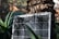 A solar panel is positioned against the trunk of a tree, surrounded by lush green foliage and plants. Sunlight creates intricate shadow patterns on the panel and the tree bark.