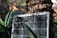 A solar panel is positioned against the trunk of a tree, surrounded by lush green foliage and plants. Sunlight creates intricate shadow patterns on the panel and the tree bark.