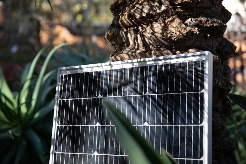 A solar panel is positioned against the trunk of a tree, surrounded by lush green foliage and plants. Sunlight creates intricate shadow patterns on the panel and the tree bark.
