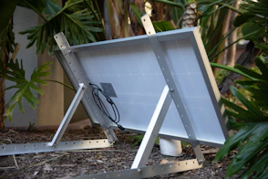 a picture frame sitting on the ground next to a plant