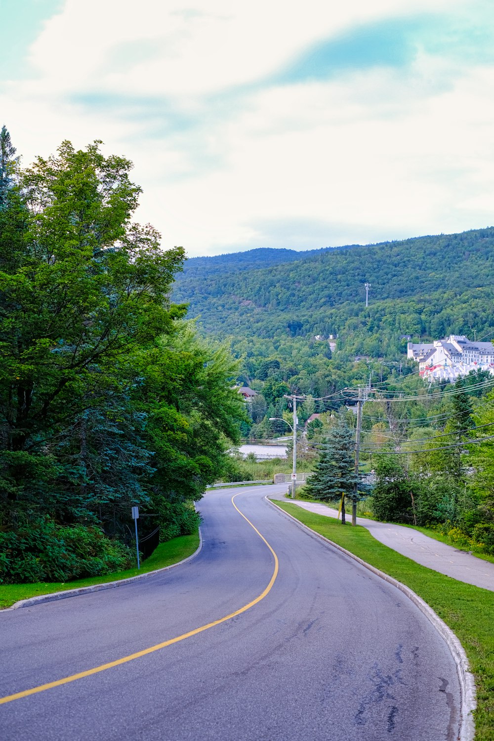 a winding road in the middle of a lush green forest