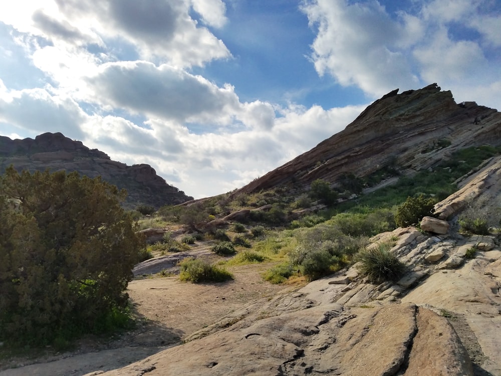 a rocky landscape with a few bushes and bushes