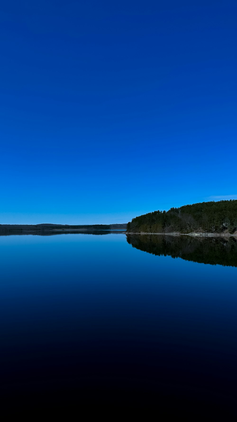 a large body of water surrounded by a forest