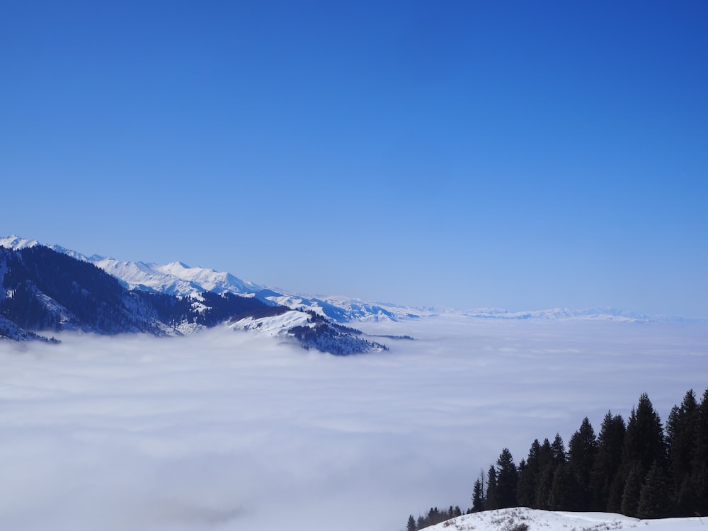 a view of a mountain covered in snow