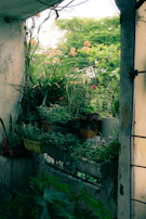Balcony view overlooking lush gardens with vibrant flowers and greenery.