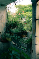 Balcony seating area overlooking vibrant greenery and flowering plants.
