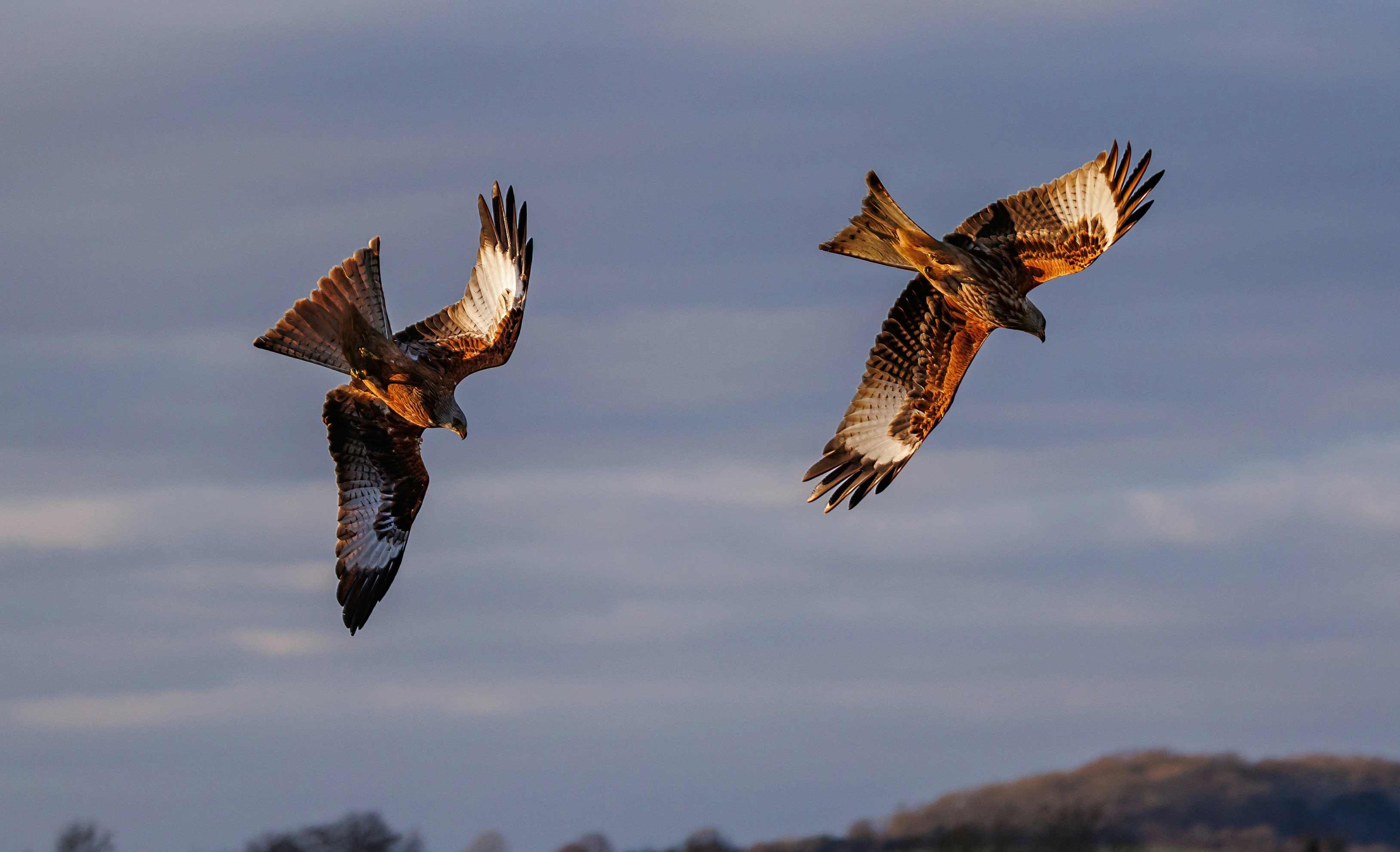 Photo by theotherkev