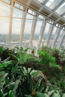 Lush greenery and diverse plants fill the foreground of an indoor garden space with large, modern windows offering a view of the city skyline in the distance. A person is seen admiring the view amidst the foliage.