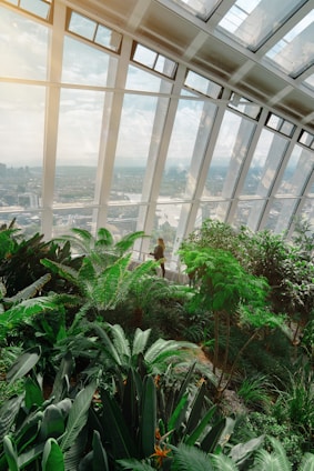 Lush greenery and diverse plants fill the foreground of an indoor garden space with large, modern windows offering a view of the city skyline in the distance. A person is seen admiring the view amidst the foliage.