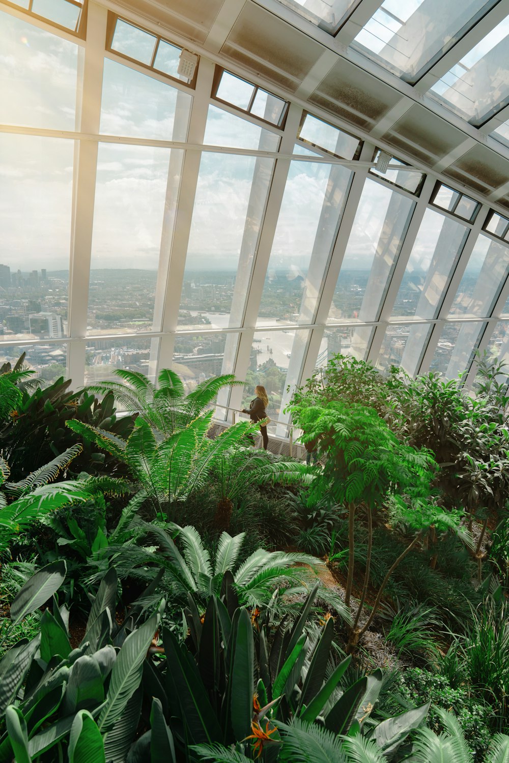 내부에 많은 식물이있는 매우 높은 건물