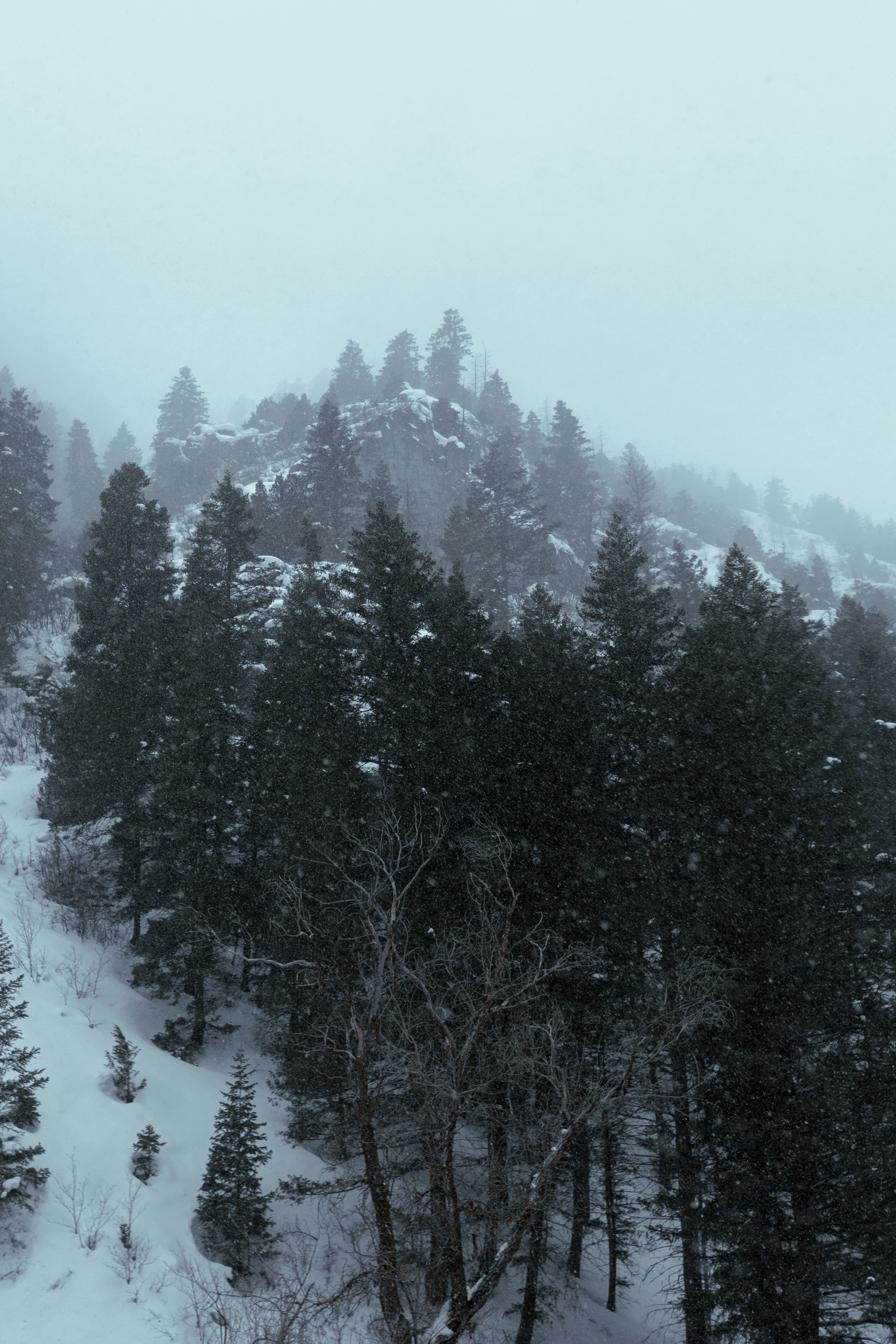 Photo by jeremygerritsen