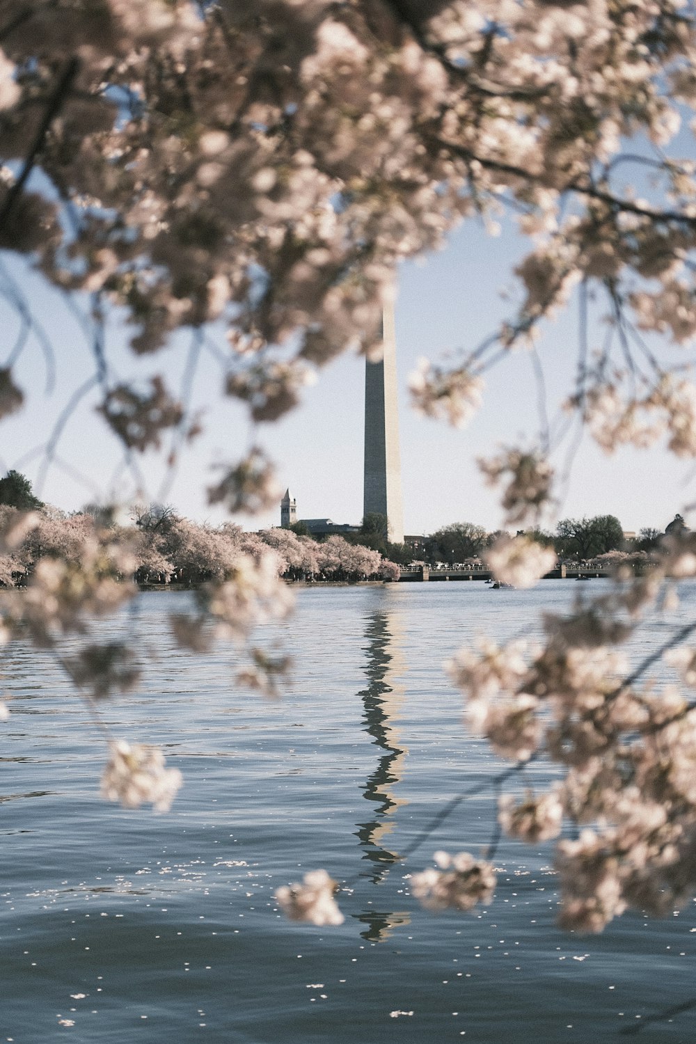 a large body of water with a tower in the background