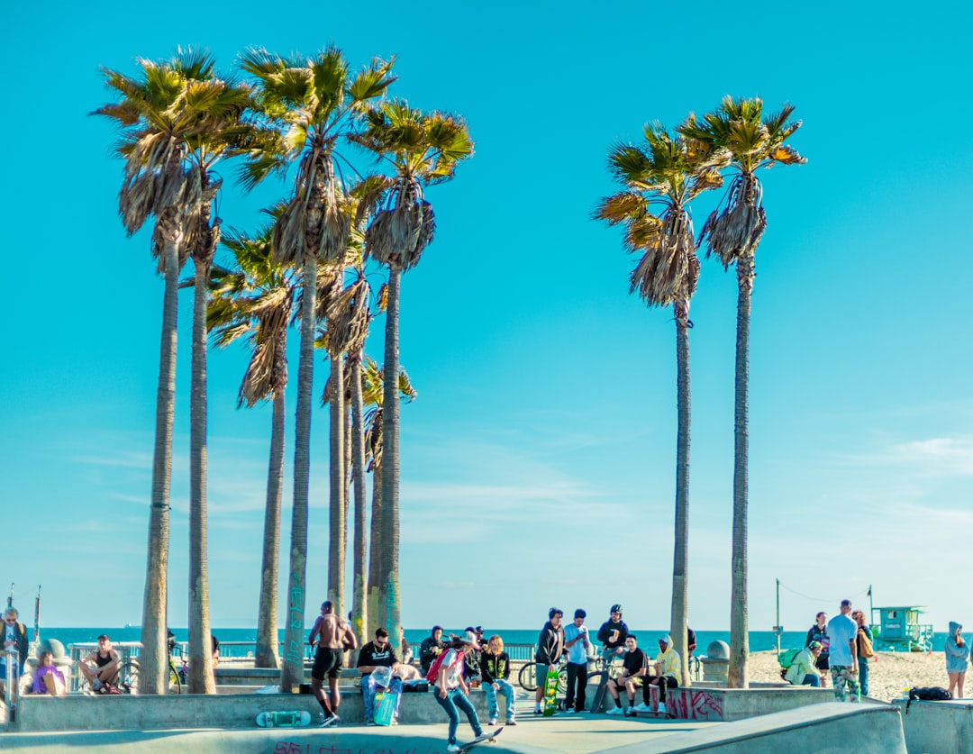 a group of people riding skateboards at a skate park