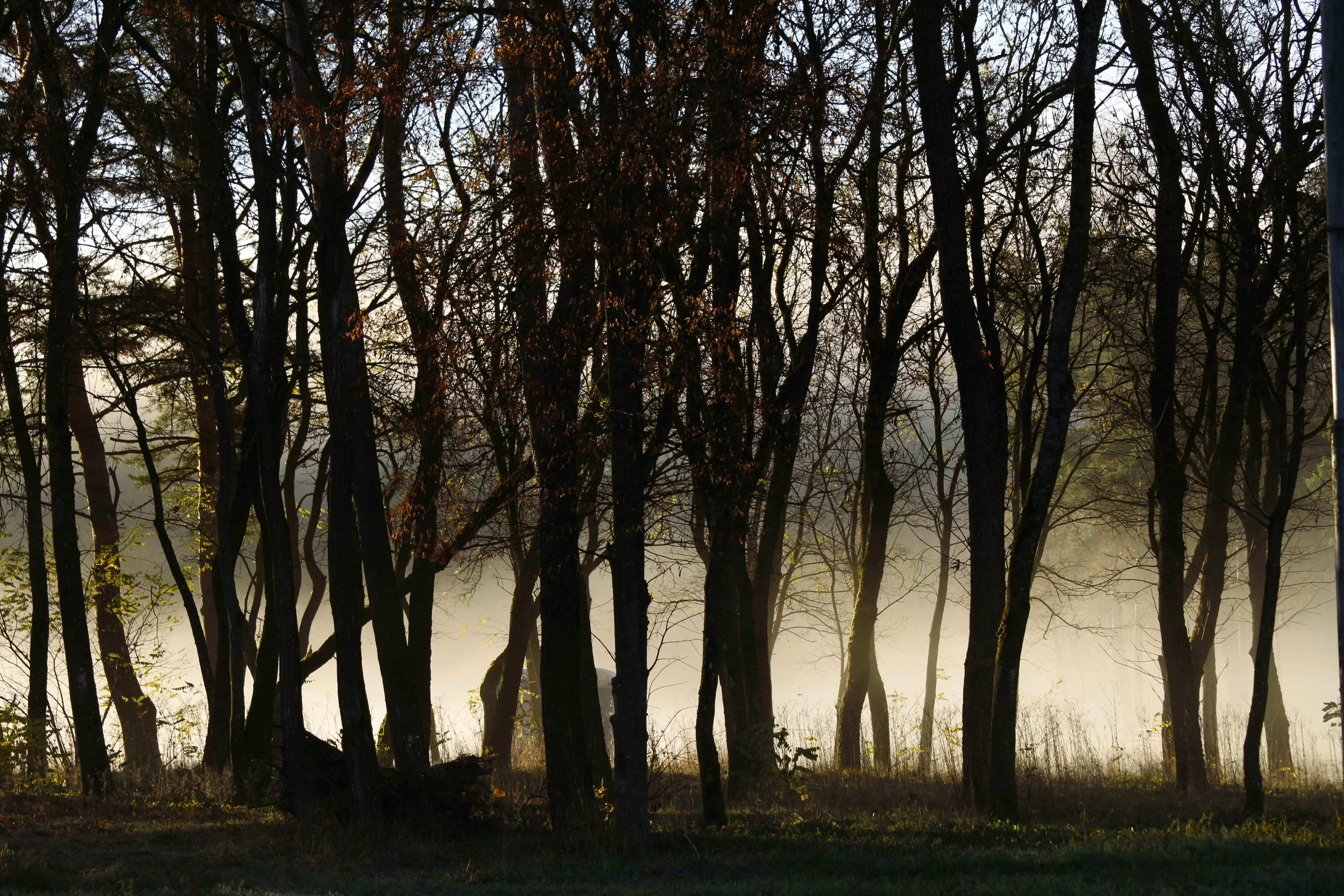 Photo by rupseart