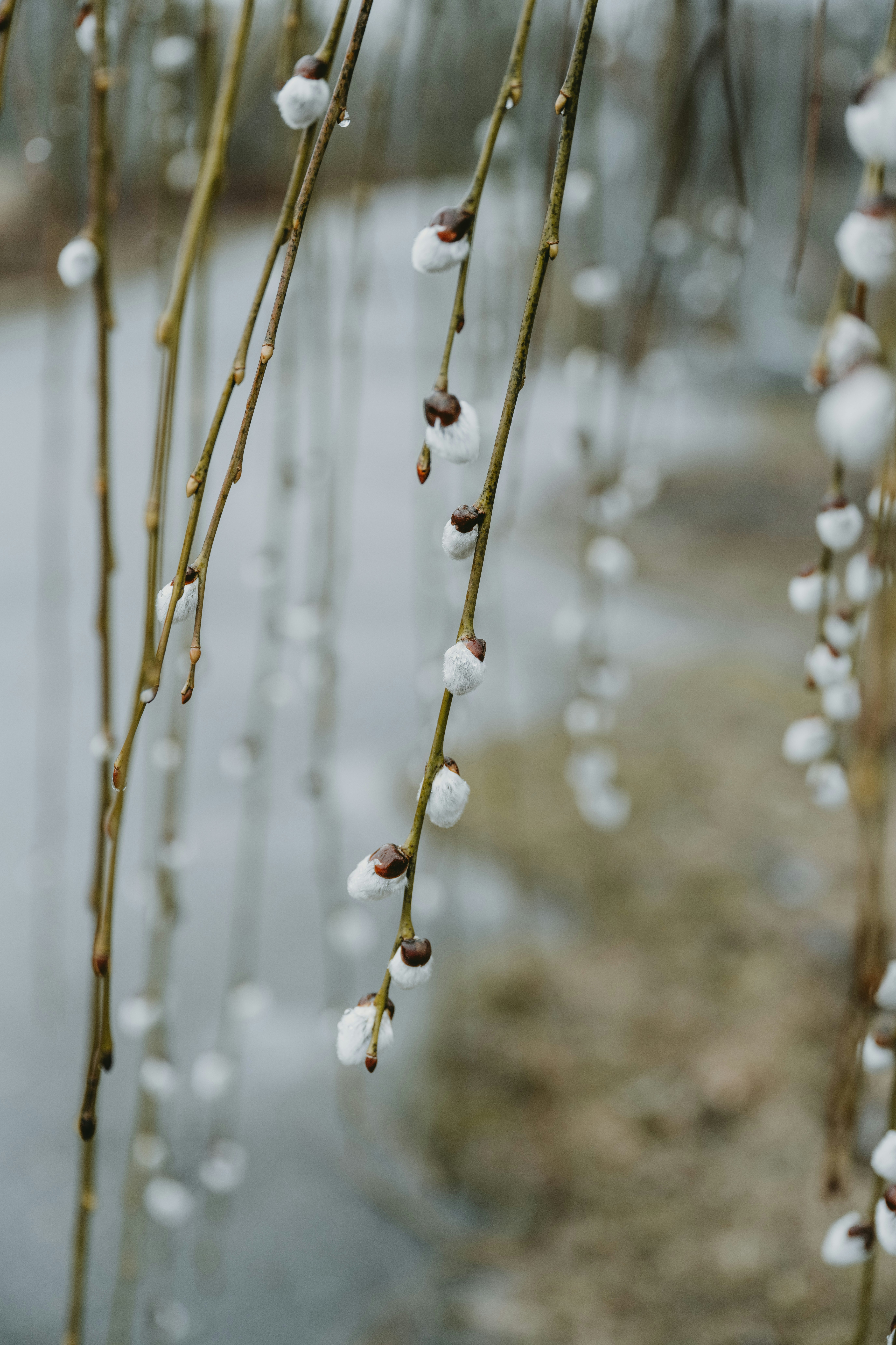 Photo by anitaaustvika