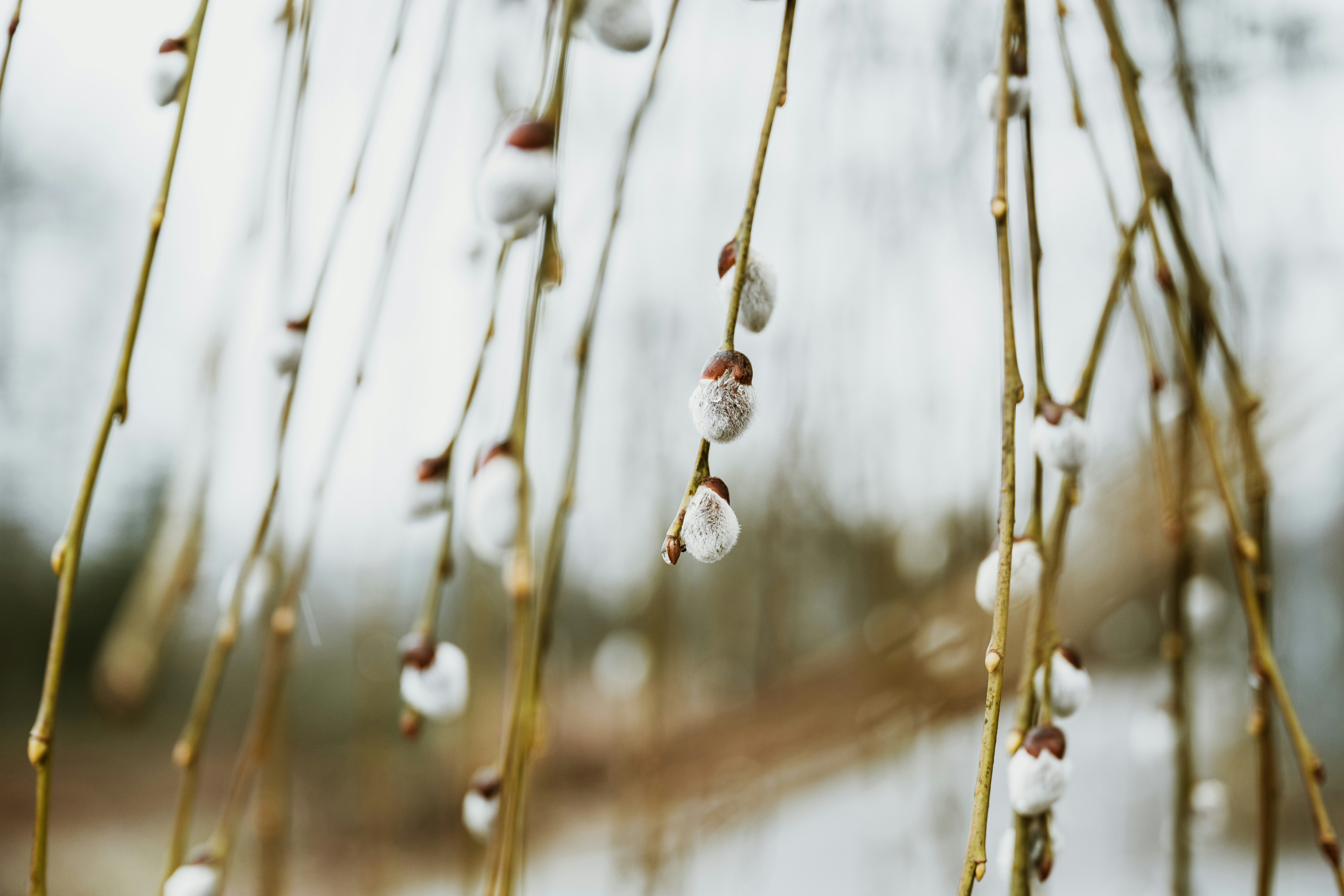 Photo by anitaaustvika