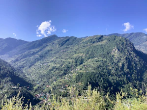 A serene mountain farm with villagers harvesting organic crops under clear blue skies.