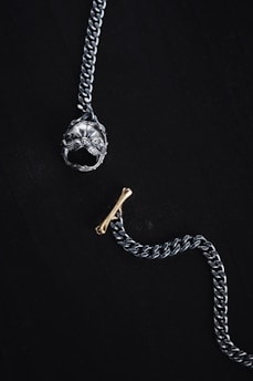 A silver chain with a prominent pendant at one end shaped like a detailed dog head and a small gold bone-shaped toggle clasp on a dark background. The overall composition is minimalistic and artistic, highlighting the metallic textures and intricate designs of the jewelry piece.