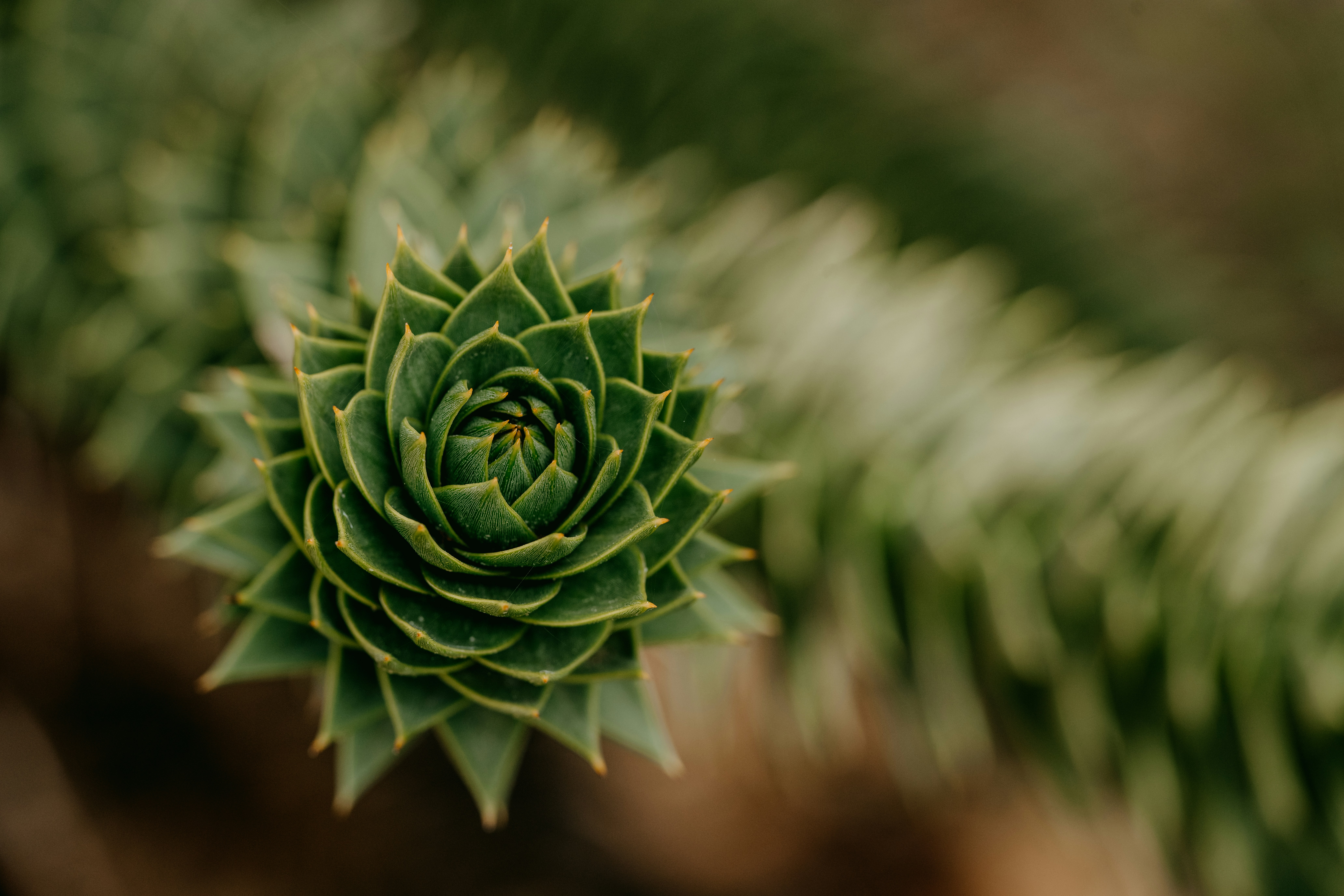 Photo by anniespratt