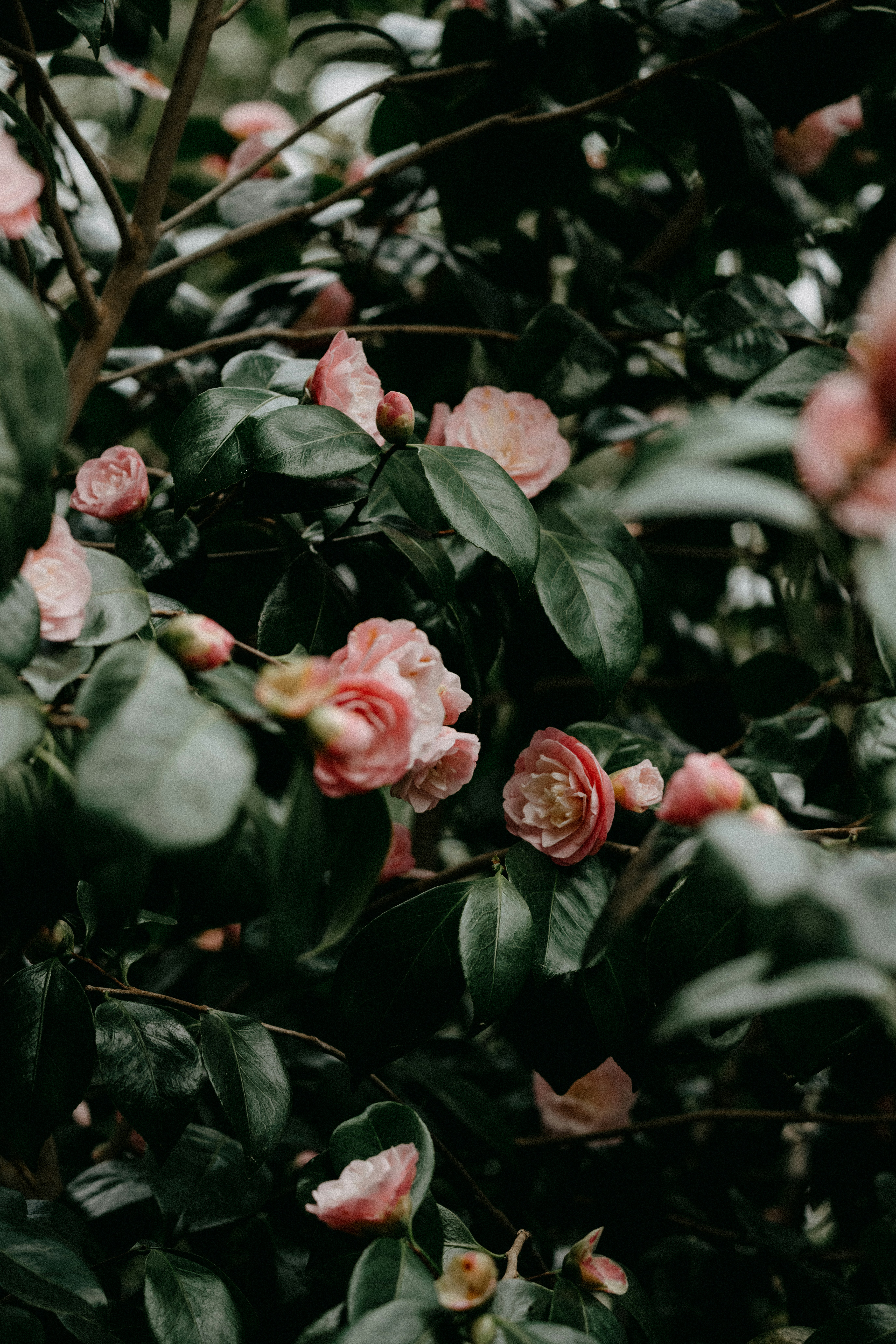 Photo by anniespratt