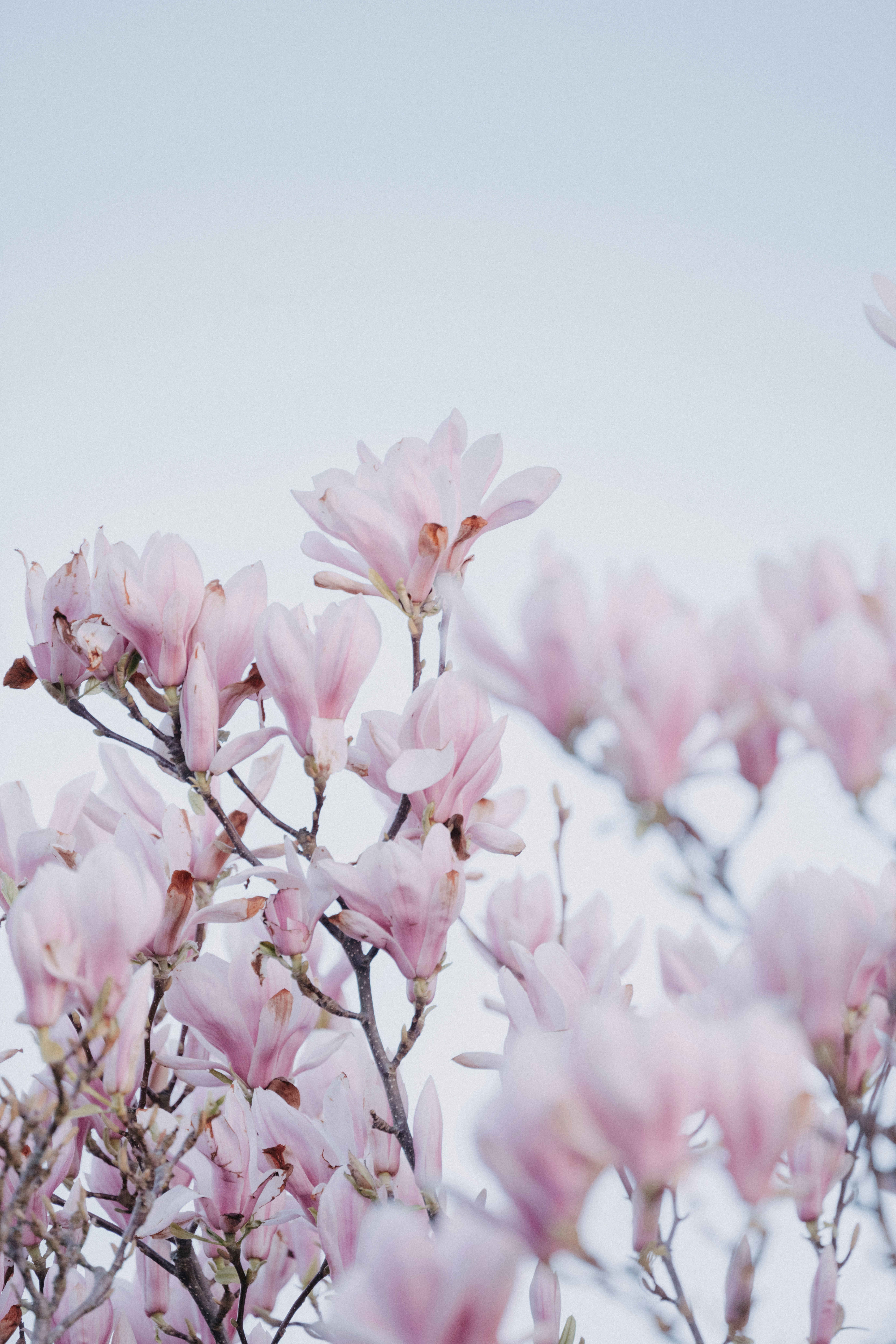 Photo by anniespratt