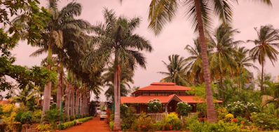 Cozy house with a red roof surrounded by tropical plants and palm trees.