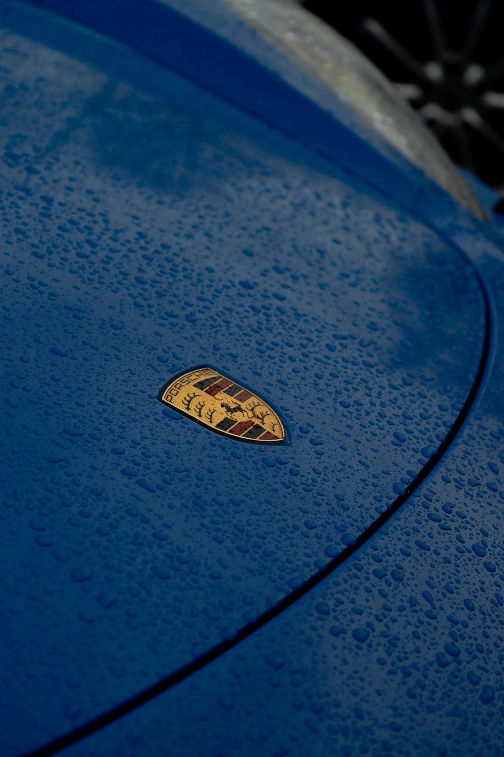 a close up of the hood of a blue car